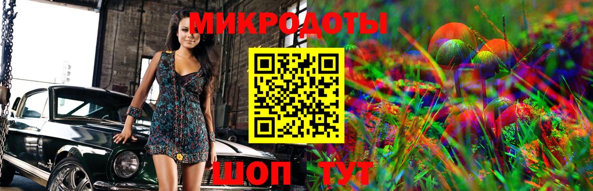 Псилоцибиновые грибы Cubensis  Вход с VPN  Усть-Джегута 
